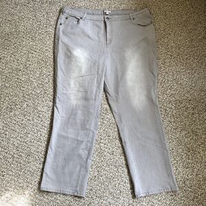 Woman Within 24W Straight-Leg Stretch Jeans – Gray, Cozy & Comfy Plus-Size Denim